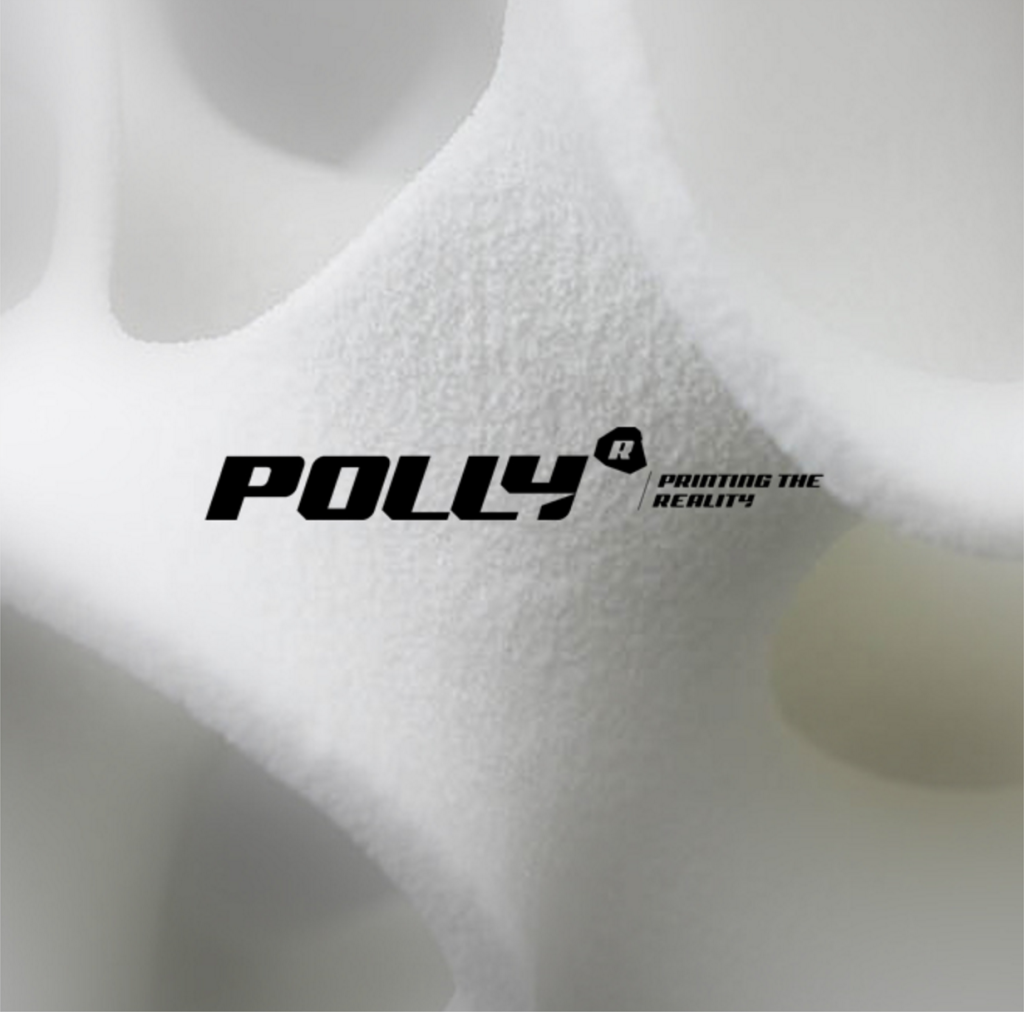 Polly3D Printer Copy